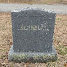 Tony Scibelli