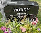 Stephen Priddy